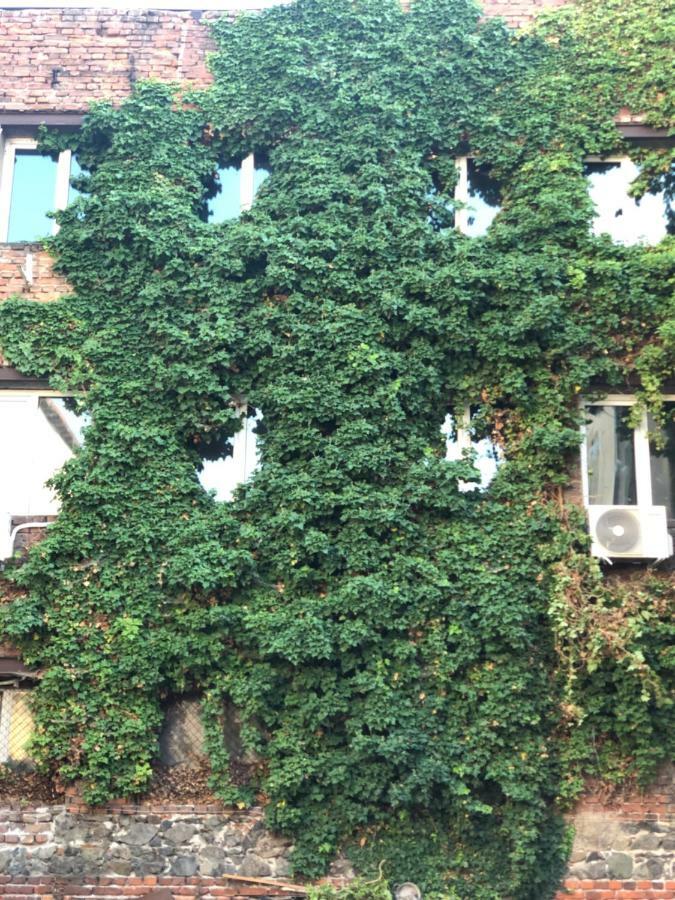 Ferienwohnung Center House Sofia Exterior foto